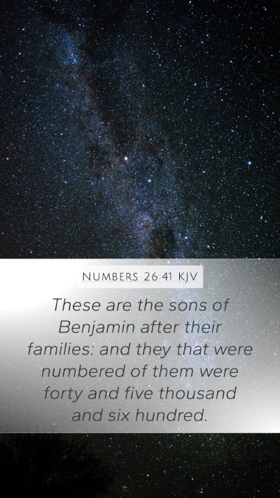 Numbers 26:41 Explained