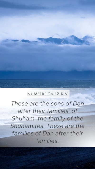 Numbers 26:42 Explained