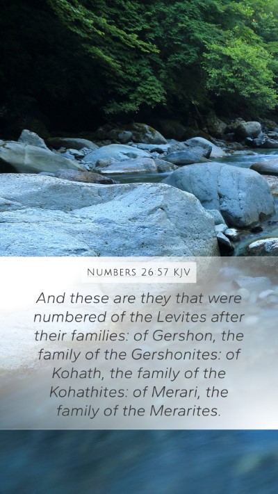 Numbers 26:57 Explained