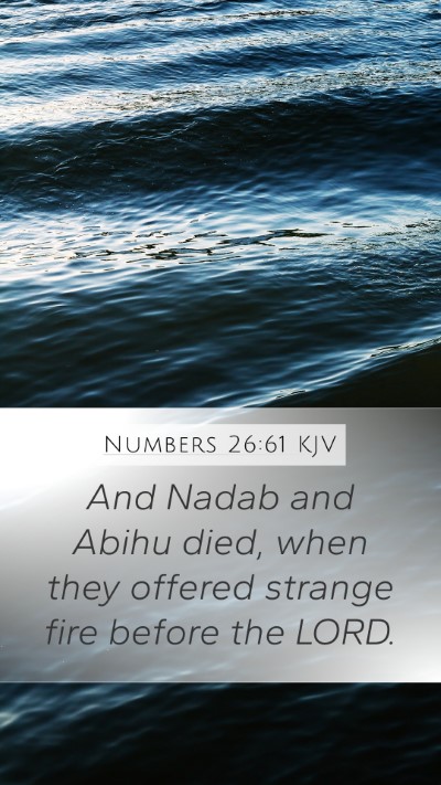 Numbers 26:61 Explained