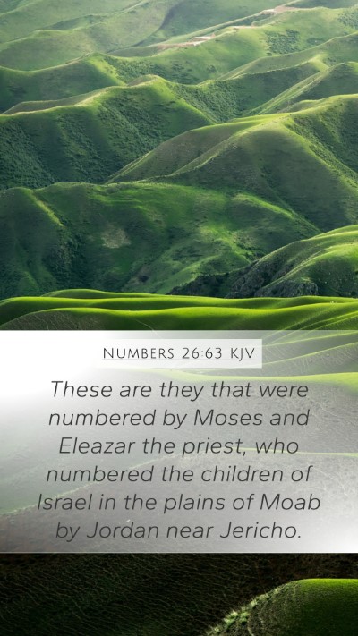 Numbers 26:63 Explained