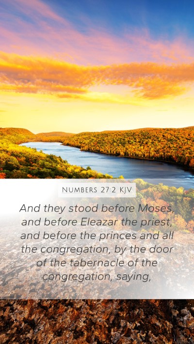 Numbers 27:2 Explained