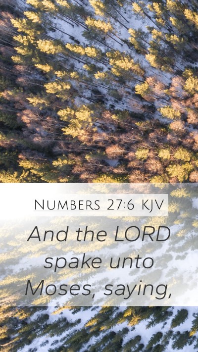 Numbers 27:6 Explained