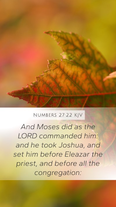 Numbers 27:22 Explained