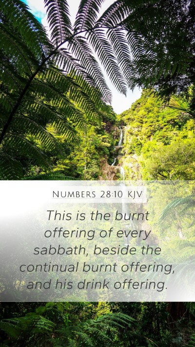 Numbers 28:10 Explained