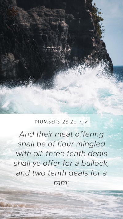 Numbers 28:20 Explained