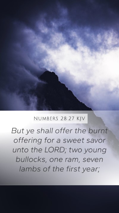 Numbers 28:27 Explained