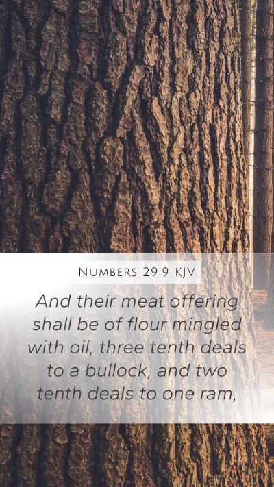 Numbers 29:9 Explained