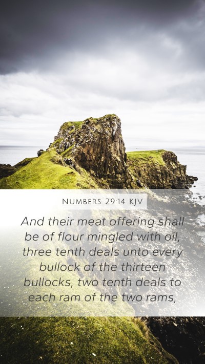 Numbers 29:14 Explained