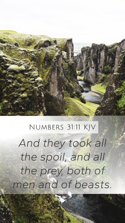 Numbers 31:11 Explained