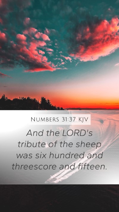 Numbers 31:37 Explained