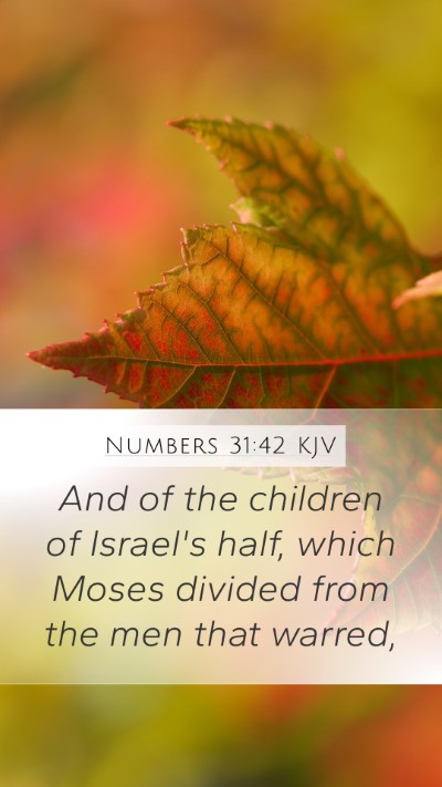 Numbers 31:42 Explained