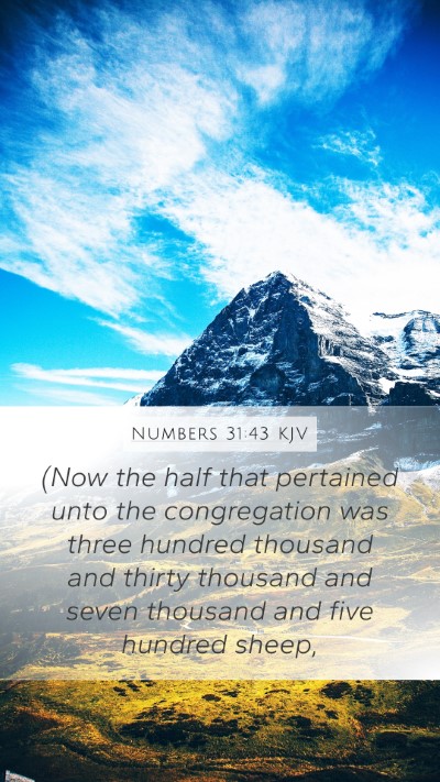 Numbers 31:43 Explained