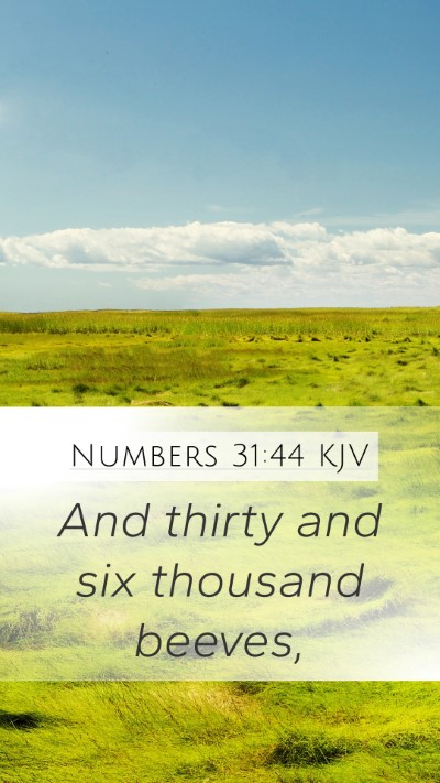 Numbers 31:44 Explained