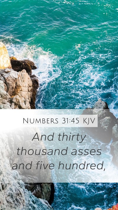 Numbers 31:45 Explained