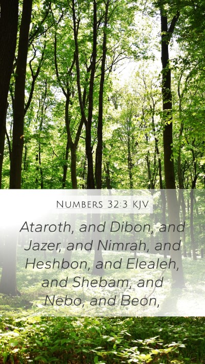 Numbers 32:3 Explained