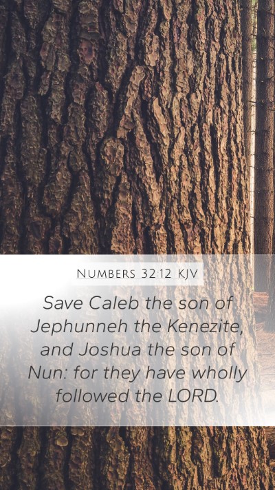 Numbers 32:12 Explained