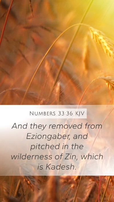 Numbers 33:36 Explained