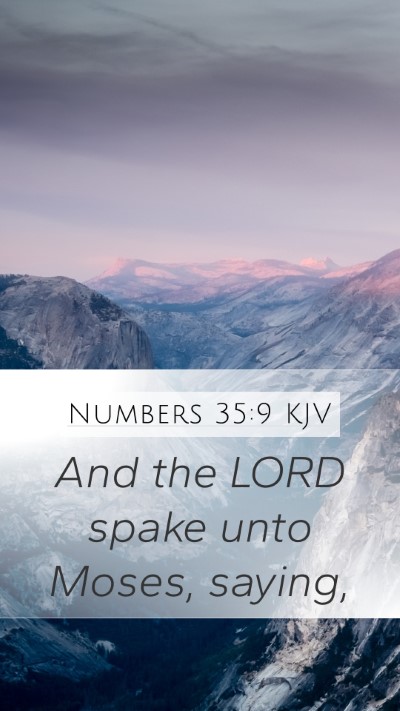 Numbers 35:9 Explained