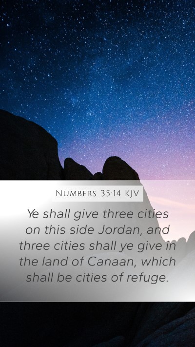 Numbers 35:14 Explained