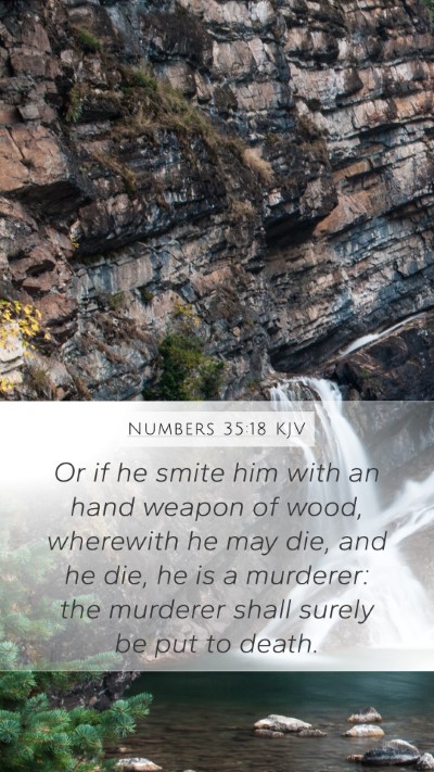 Numbers 35:18 Explained