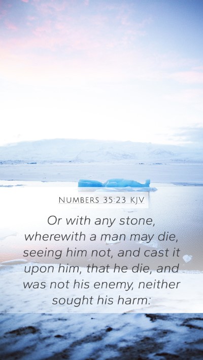 Numbers 35:23 Explained