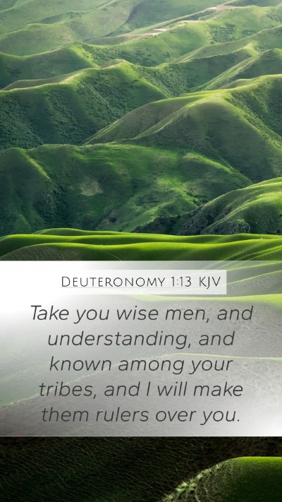 Deuteronomy 1:13 Explained