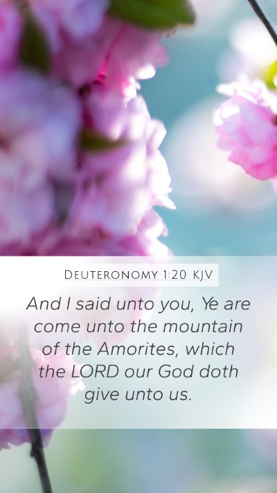 Deuteronomy 1:20 Explained