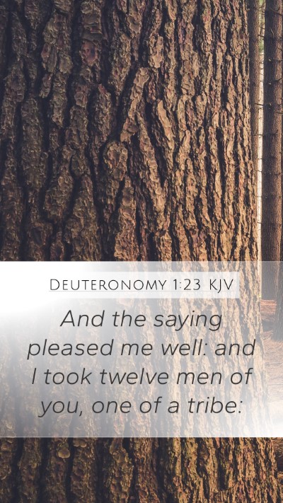 Deuteronomy 1:23 Explained