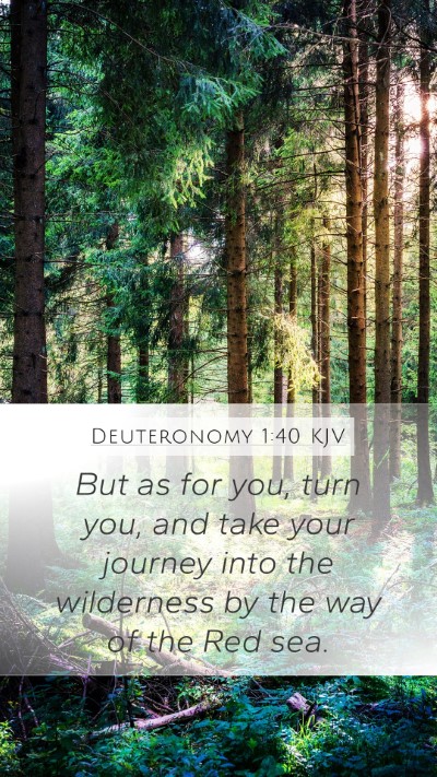 Deuteronomy 1:40 Explained