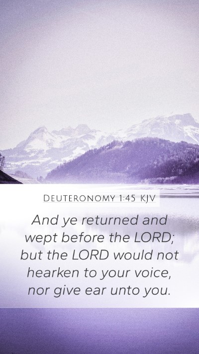 Deuteronomy 1:45 Explained