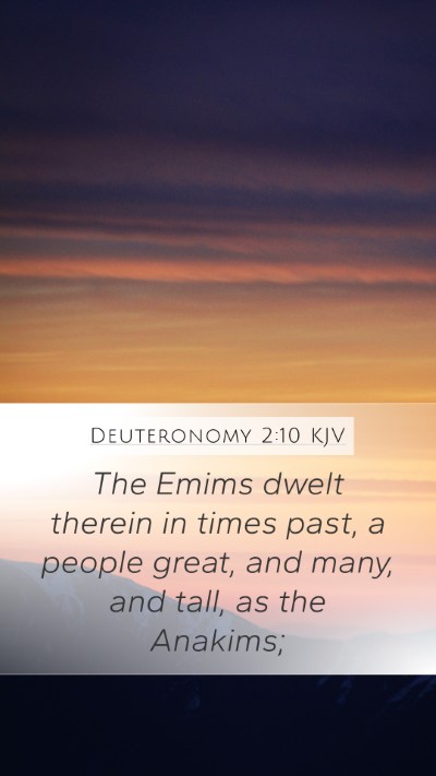 Deuteronomy 2:10 Explained