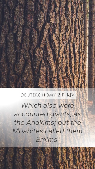 Deuteronomy 2:11 Explained