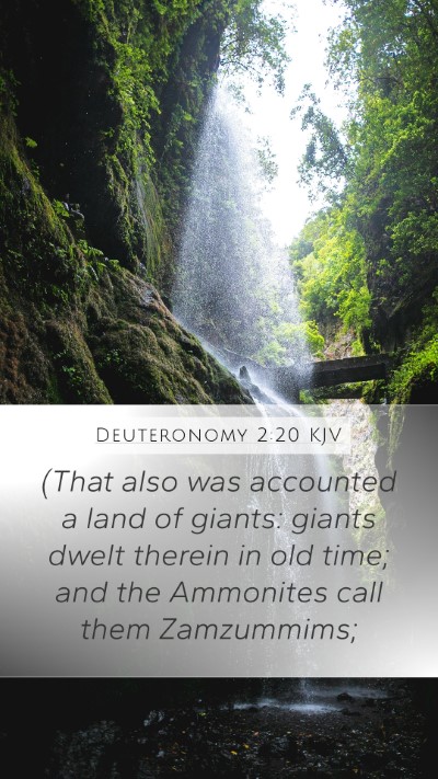 Deuteronomy 2:20 Explained