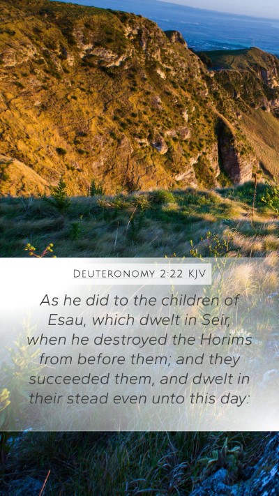 Deuteronomy 2:22 Explained