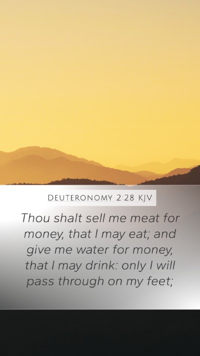 Deuteronomy 2:28 Explained