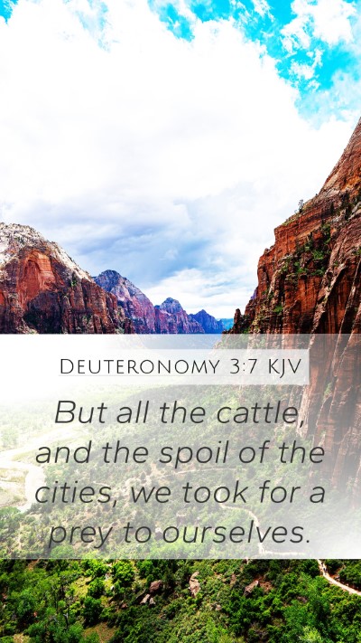 Deuteronomy 3:7 Explained