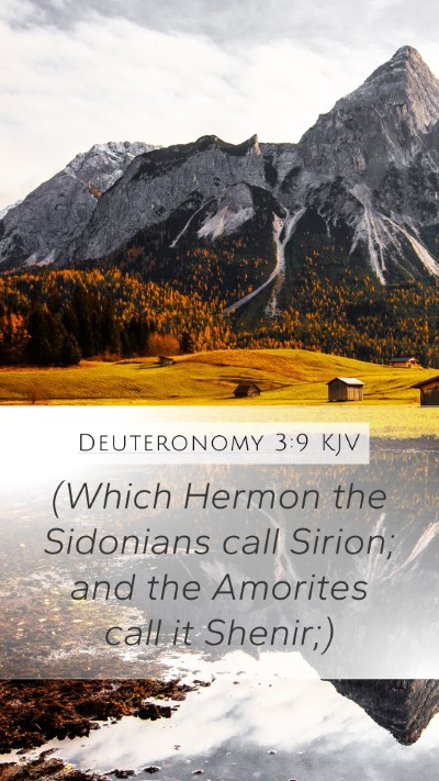 Deuteronomy 3:9 Explained