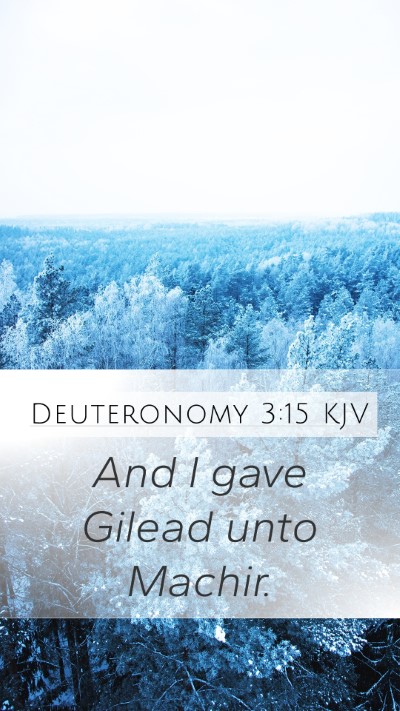 Deuteronomy 3:15 Explained