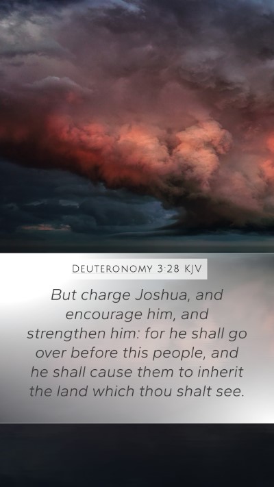 Deuteronomy 3:28 Explained