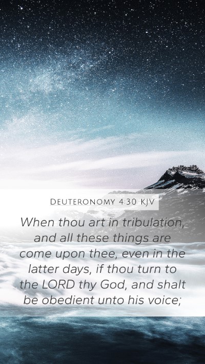 Deuteronomy 4:30 Explained