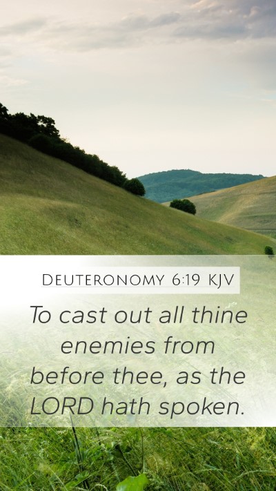 Deuteronomy 6:19 Explained