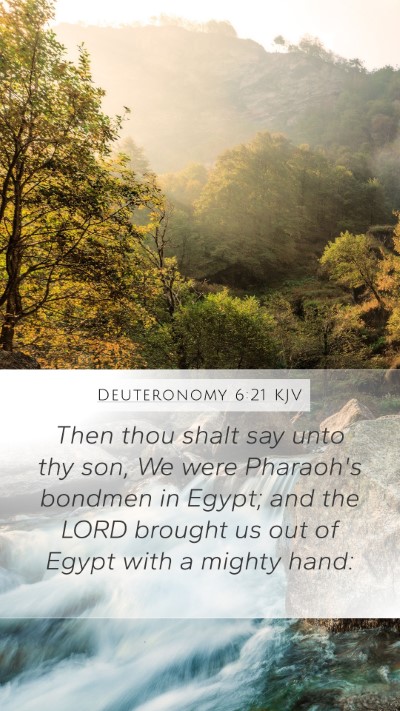 Deuteronomy 6:21 Explained