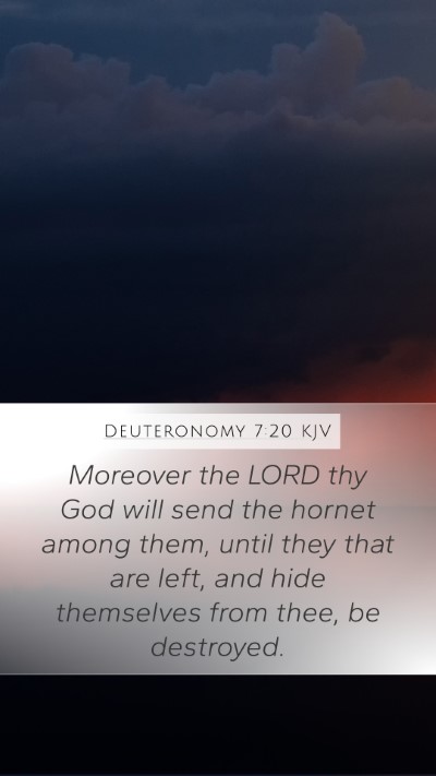 Deuteronomy 7:20 Explained