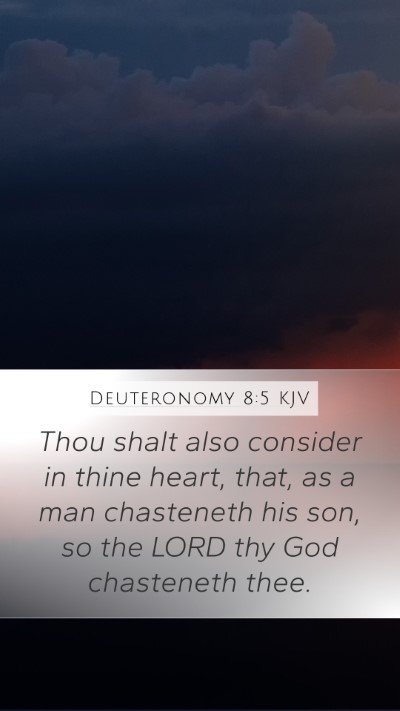 Deuteronomy 8:5 Explained