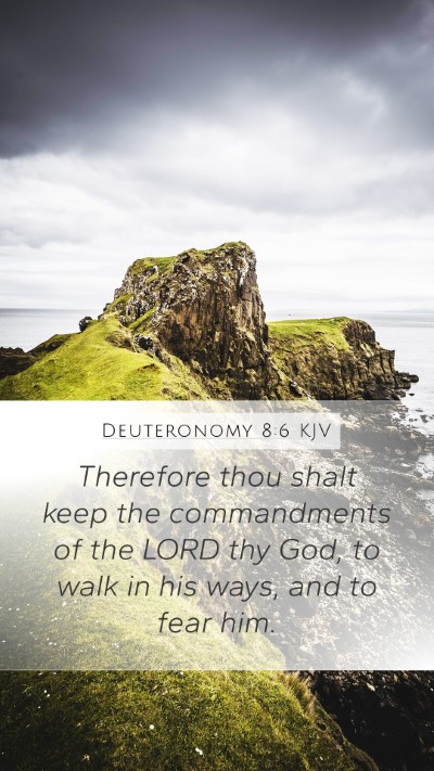 Deuteronomy 8:6 Explained