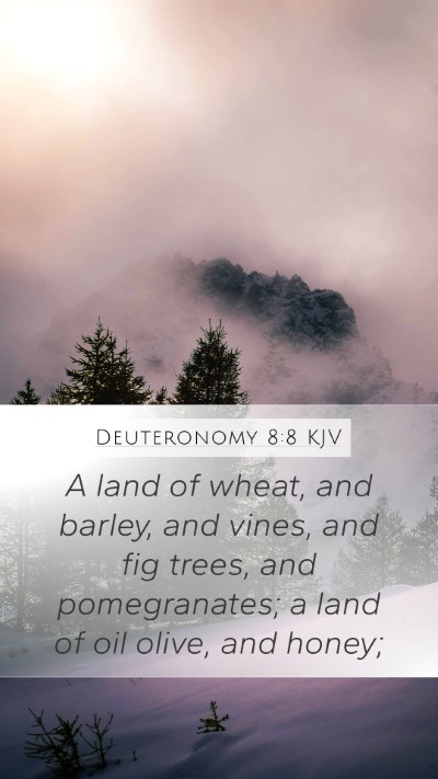 Deuteronomy 8:8 Explained