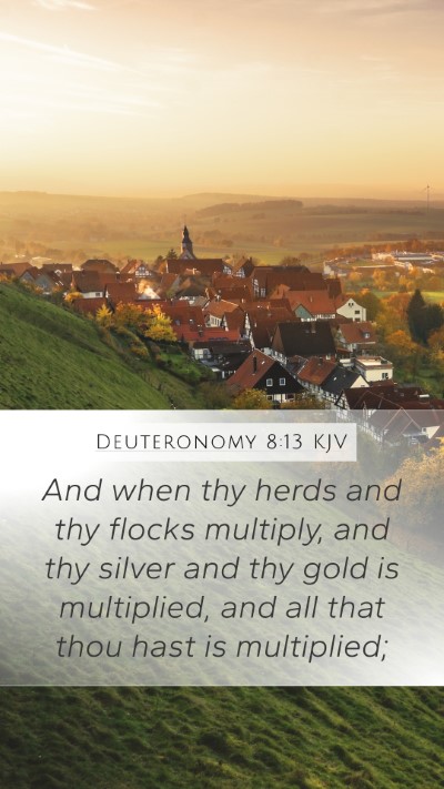 Deuteronomy 8:13 Explained