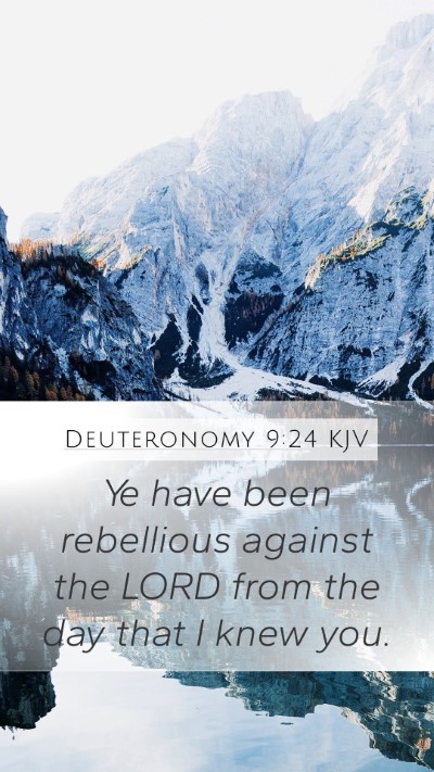 Deuteronomy 9:24 Explained