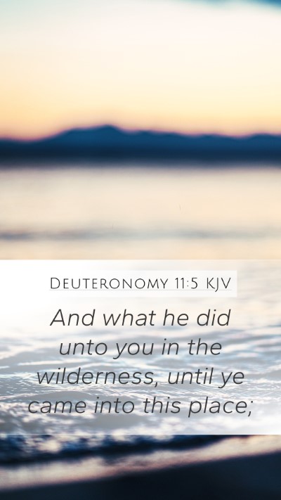 Deuteronomy 11:5 Explained